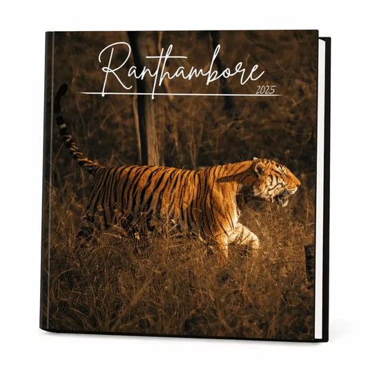 Life In Frames - White Pebble