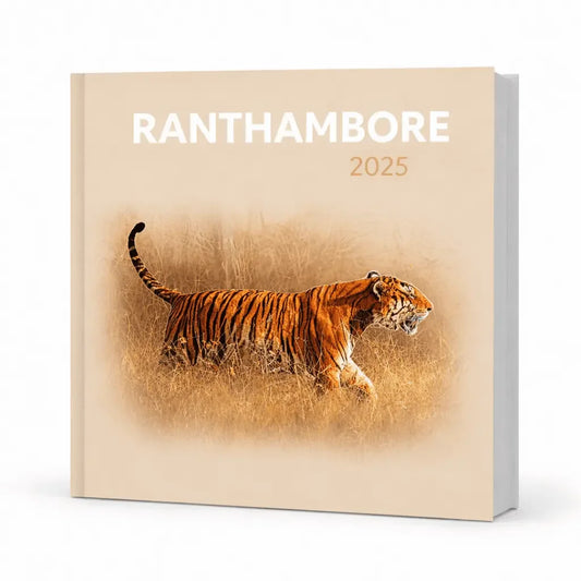 Life In Frames - White Pebble